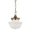 Dutchess 1 Light Small Pendant -Best Lighting Shop 5009 agb 1