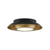 Metaphor Flush Mount -Best Lighting Shop 9999 0045 1